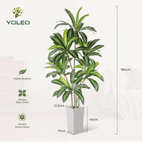YOLEO 5FT/6FT Artificial Dracaena Tree with White Tall Planter, Lifelike Fake Silk Tree Indoor, Faux Dracaena Tall Plant for Living Room Bedroom Balcony Corner Office Decor