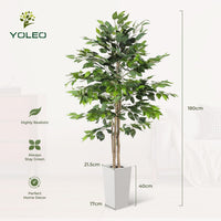 YOLEO 5FT/6FT Artificial Ficus Tree with White Tall Planter, Lifelike Fake Silk Tree Indoor, Faux Ficus Tall Plant for Living Room Bedroom Balcony Corner Office Decor