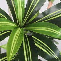 YOLEO 5FT/6FT Artificial Dracaena Tree with White Tall Planter, Lifelike Fake Silk Tree Indoor, Faux Dracaena Tall Plant for Living Room Bedroom Balcony Corner Office Decor