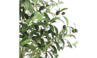 YOLEO Artificial Olive Tree Tall Faux Silk Olive Plant Lifelike Fake Tree for Home Office Indoor Decor